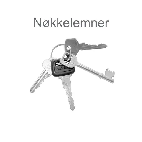 NØKKELEMNE TR4 FKR.(508/6)